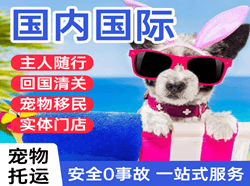 连云港航空物流国际宠物托运 【国
